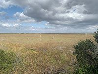 EvergladesPahayokee03-thumb